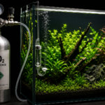 Cilindro de CO2 pressurizado com regulador e difusor conectado a aquário plantado exuberante, com pequenas bolhas de CO2 subindo na água sob iluminação dramática