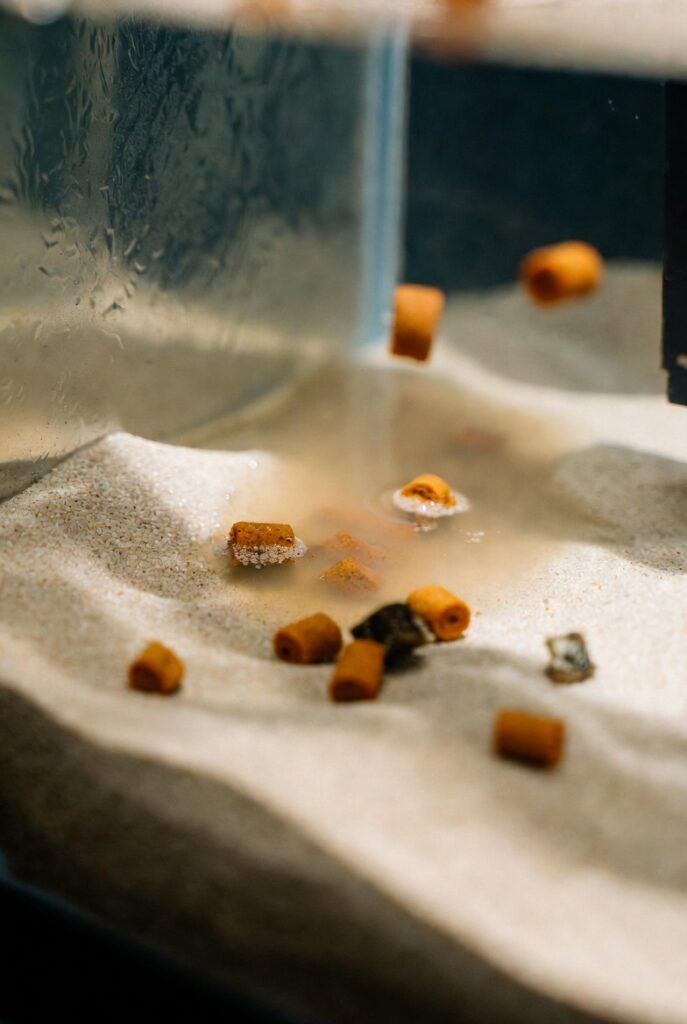 fundo de um aquário de água doce mostrando pellets de comida de peixe não consumidos se decompondo em areia fina, com leve turvação na água. Imagem ilustrando os riscos da superalimentação, fotorealista.