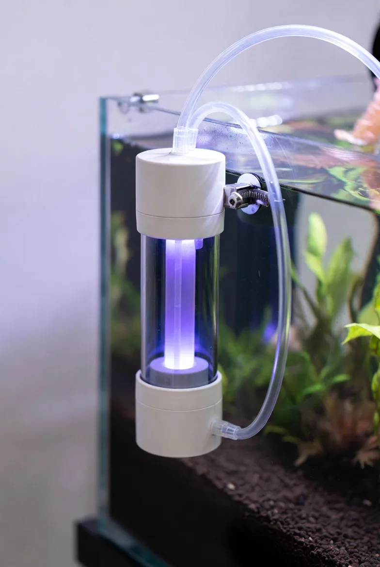 esterilizador UV instalado no aquário para tratar água verde