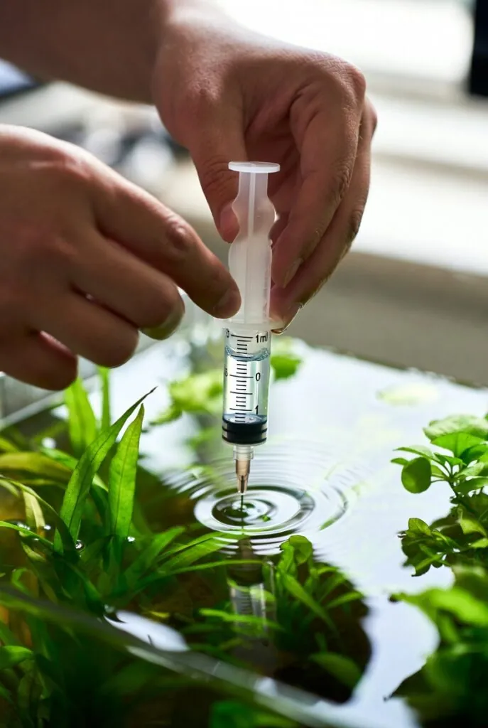mãos dosando fertilizante líquido com seringa de 1ml em aquário plantado com plantas verdes ao fundo